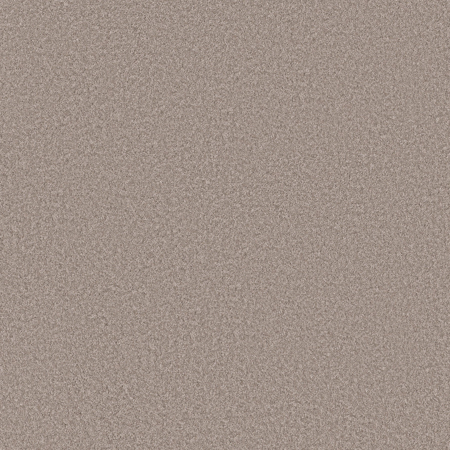 Shaw Floors - Carpet - Simply the Best Values Collection - Imaginable III - 12' - Misty Harbor