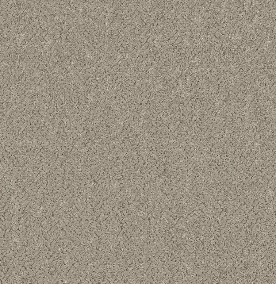 Shaw Floors - Carpet - Pet Perfect Collection - Joyful Spirit - 12' - Watercolor