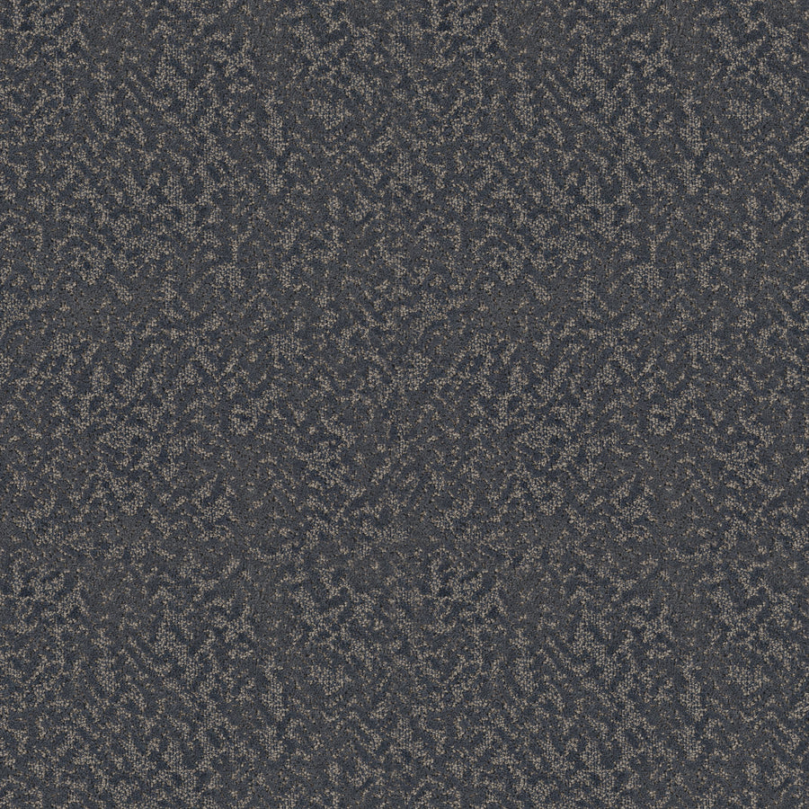 Shaw Floors - Carpet - Pet Perfect Collection - Joyful Spirit - 12' - Starry Sky