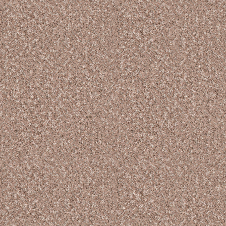 Shaw Floors - Carpet - Pet Perfect Collection - Joyful Spirit - 12' - Lullaby