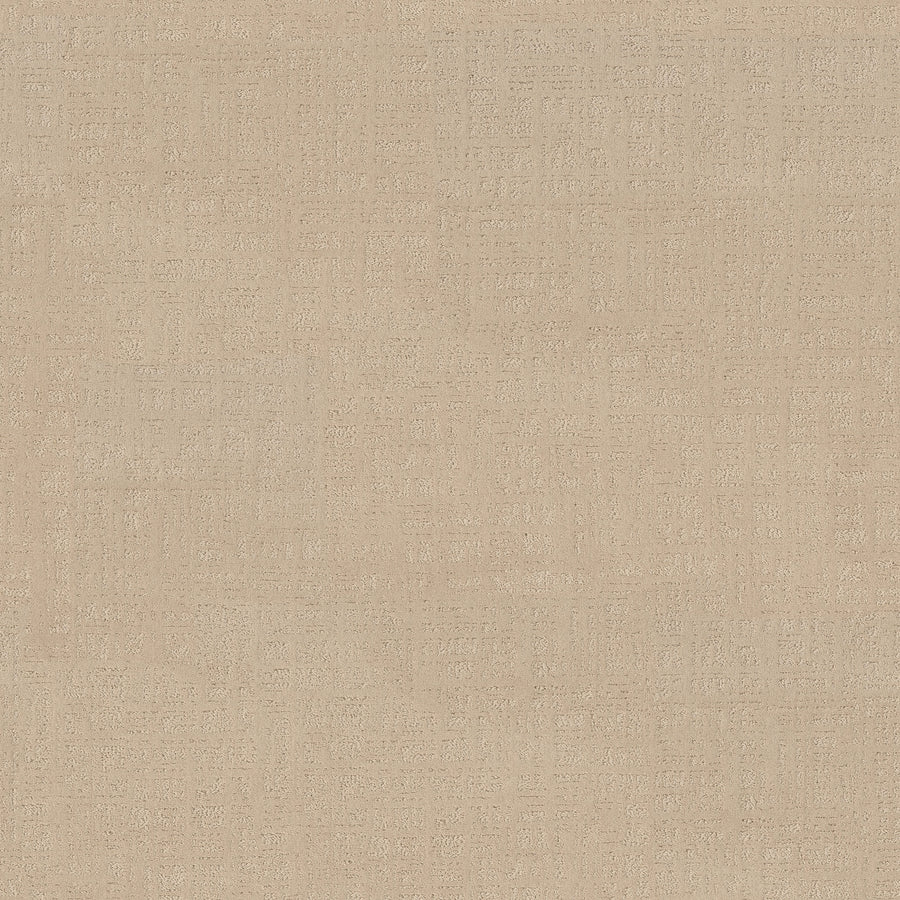 Shaw Floors - Carpet - Pet Perfect Collection - Natural Instinct - 12' - Honey