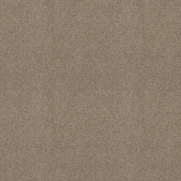 Shaw Floors - Carpet - COMFORTING I - Boardwalk