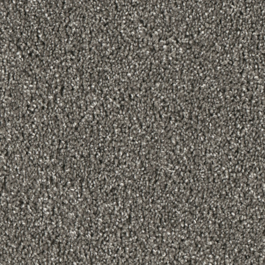 Primco - Estates Carpet - Majesty Collection - Balance