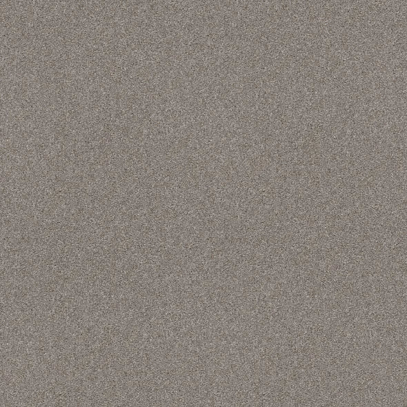 Shaw Floors - Carpet - Simply The Best - Attainable - Clay