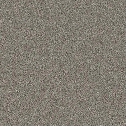 ACORN DESIGN - PACIFIC RIM COLLECTION - 24OZ CUT PILE CARPET - CANOPY