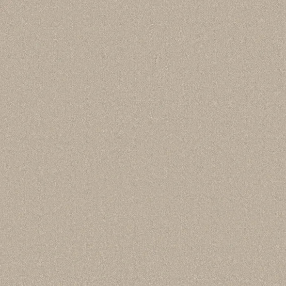 Shaw Floors - Carpet - Classics Collection - Awaken Spirit I 12' - Cloud