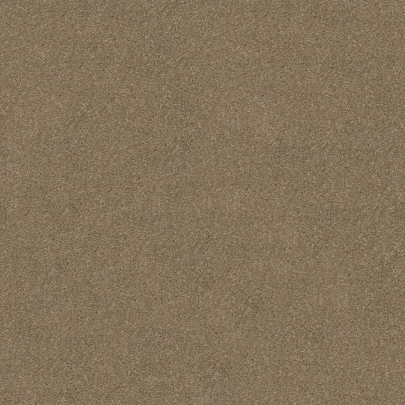 Shaw Floors - Carpet - Simply The Best - Attainable - Cork