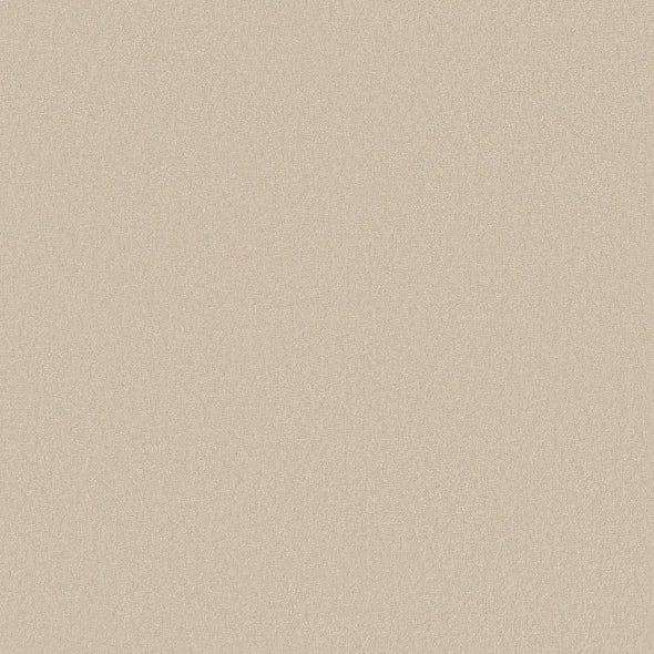 Shaw Floors - Carpet - Classics Collection - Awaken Spirit I 12' - Cottage