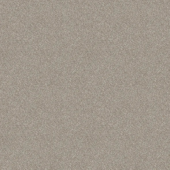Shaw Floors - Carpet - Simply The Best - Attainable - Desert Light