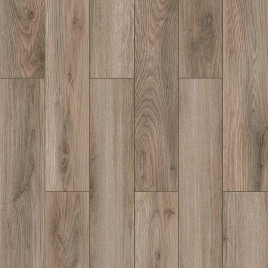 GoodFellow - Floorpan Wings Collection - Dove