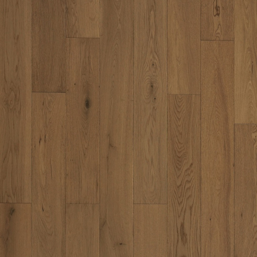 Grandeur Flooring - Engineered Hardwood - Evergreen Collection - Elm