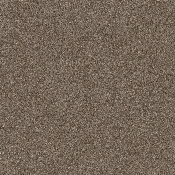 Shaw Floors - Carpet - Simply The Best - Attainable - Fox Hollow