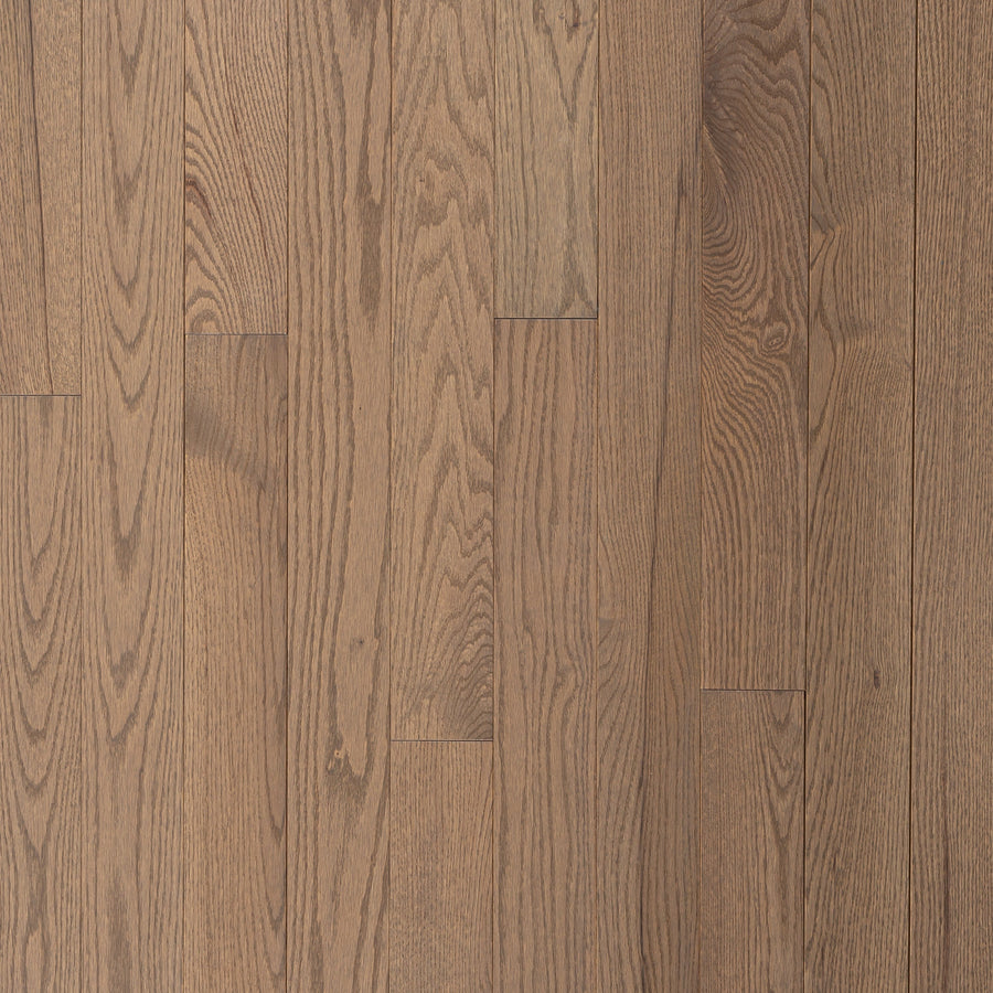 Wickham - Domestic Collection - Engineered Elite Plus - 5" - Select Grade - Red Oak - Forest Hill