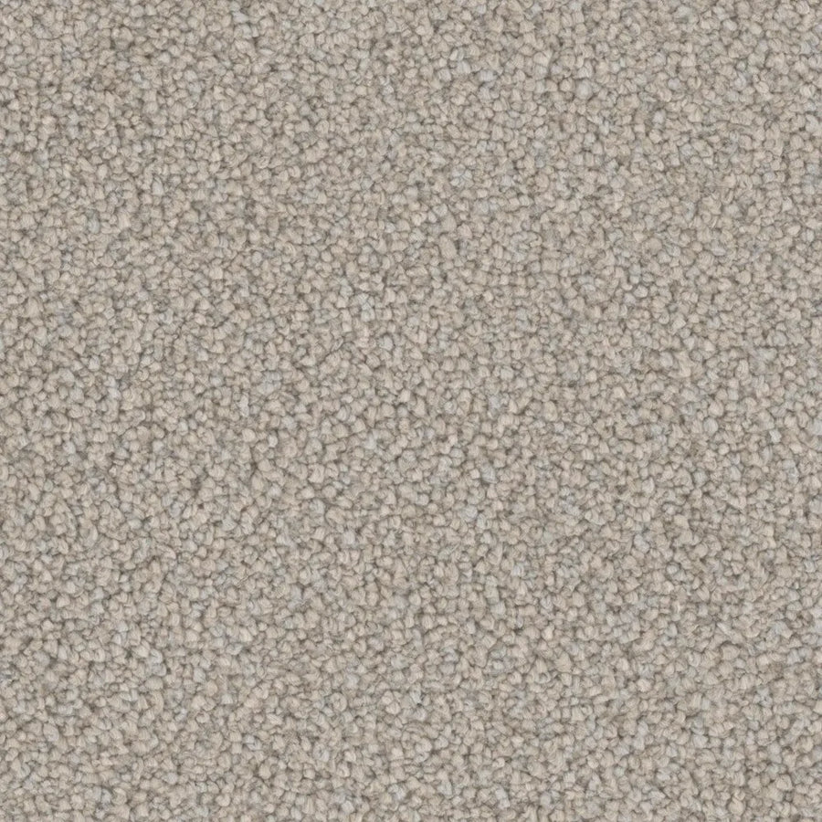 Primco - Estates Carpet - Soft Spoken Collection - Glisten