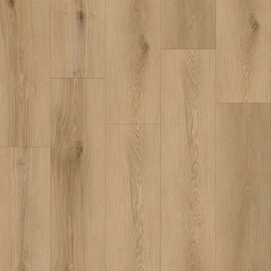 TAIGA - HydroXpert Collection - Hazelnut