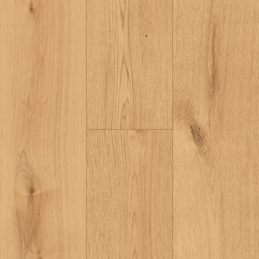 InHaus - Ceramin® - Icon Collection - Hollyburn