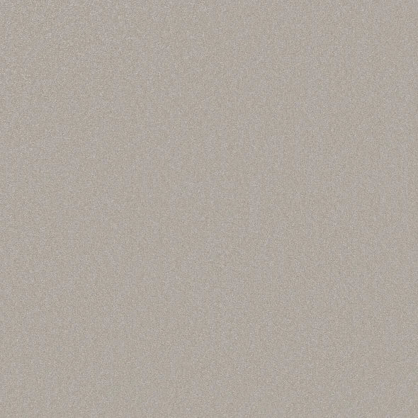 Shaw Floors - Carpet - Classics Collection - Awaken Spirit I 12' - Ice Cube