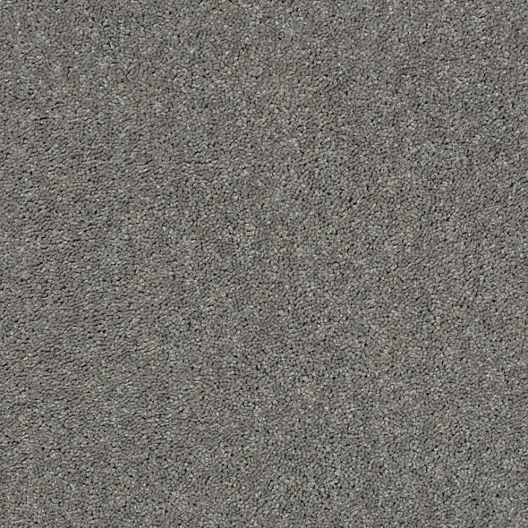 Shaw Floors - Carpet - Full Court 12' - Ink Spot