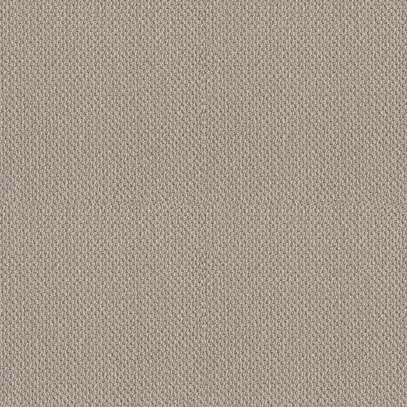 Shaw Floors - Carpet- Foundations Collection - Smart Thinking - Mindful
