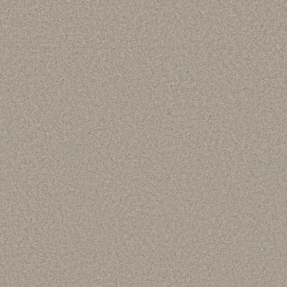 Shaw Floors - Carpet- Foundations Collection - HARMONIOUS III - Baltic Stone