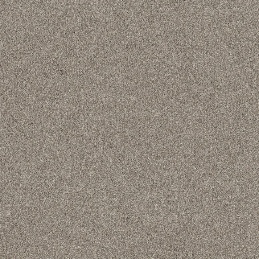 SHAW FLOORS - CARPET - SIMPLY THE BEST VALUES COLLECTION - TRUSPLENDOR - 12' - LADY LIBERTY