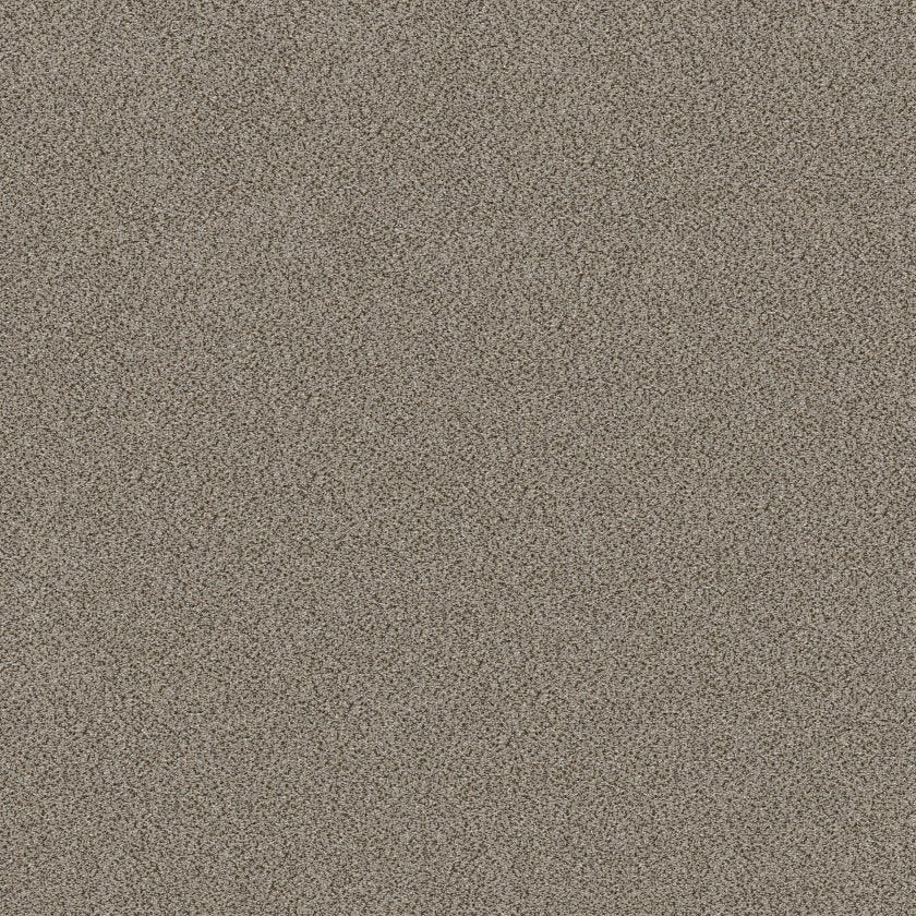 SHAW FLOORS - CARPET - SIMPLY THE BEST VALUES COLLECTION - TRUSPLENDOR - 12' - IRON WORKS