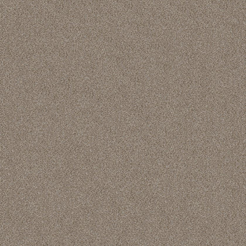 SHAW FLOORS - CARPET - SIMPLY THE BEST VALUES COLLECTION - TRUSPLENDOR - 12' - TIMELESS TAN