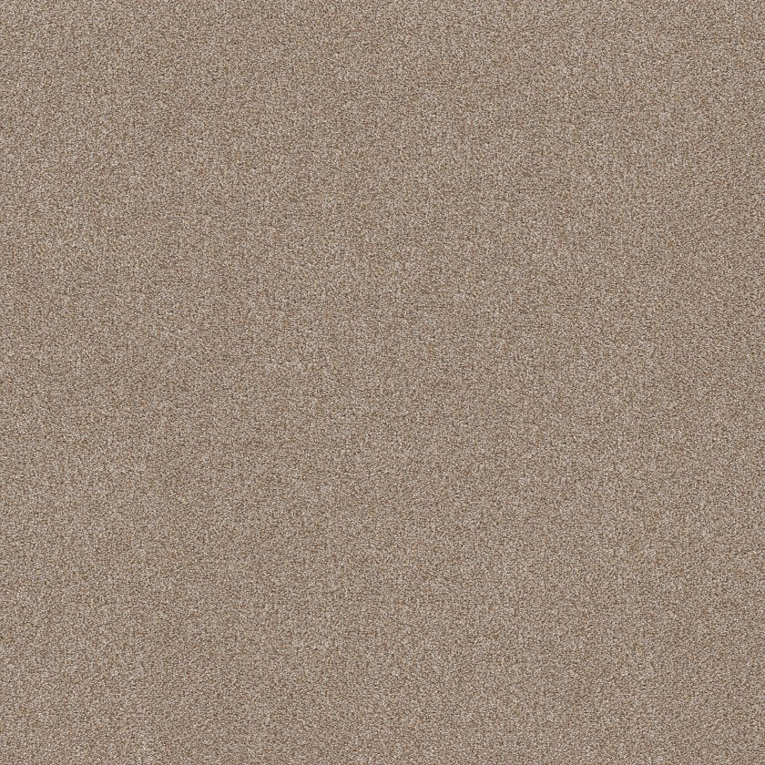 SHAW FLOORS - CARPET - SIMPLY THE BEST VALUES COLLECTION - TRUSPLENDOR - 12' - COTTAGE