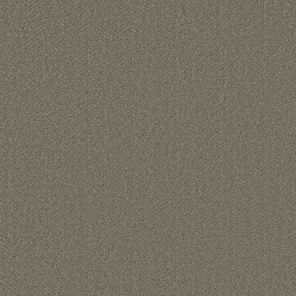 Shaw Floors - Carpet- Simply The Best - Highland Twill - Fallen Acorn