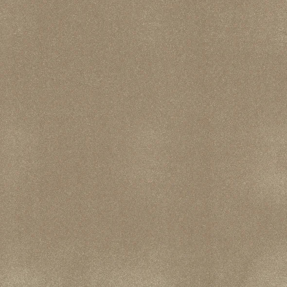 Shaw Floors - Carpet - Classics Collection - Awaken Spirit I - 12'- Muffin