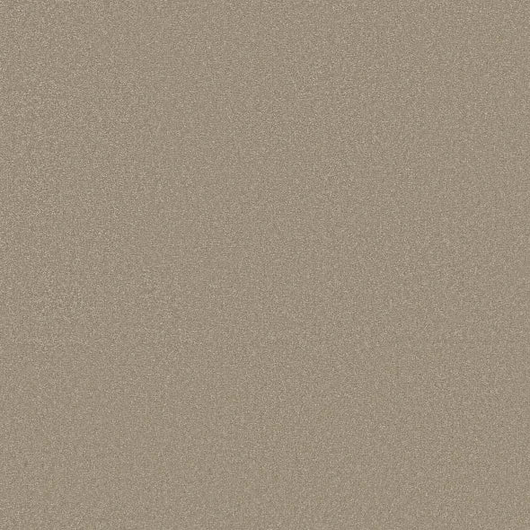 Shaw Floors - Carpet - Classics Collection - Awaken Spirit II - 15' - Neutral Ground