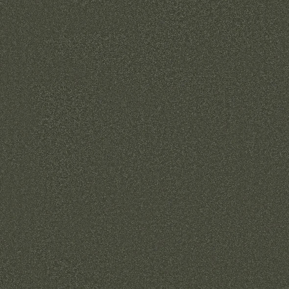 Shaw Floors - Carpet - Classics Collection - Awaken Spirit II - 15' - Olive Tree