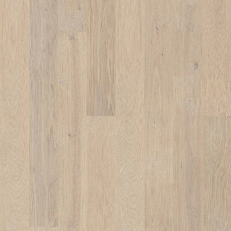 BJELIN - WOODURA - SELECT COLLECTION - XXL FORMAT - OAK - POWDER WHITE