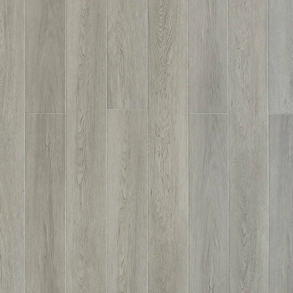 Toucan - SPC904 - Patina Grey