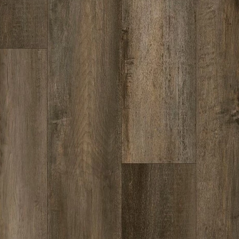 Urban Edge - Moscow Collection - Shalom
