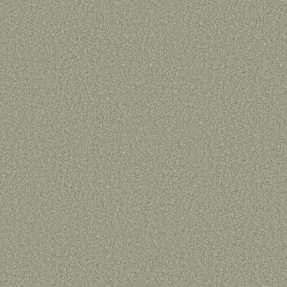 Shaw Floors - Carpet - COMFORTING I - Sage Brush
