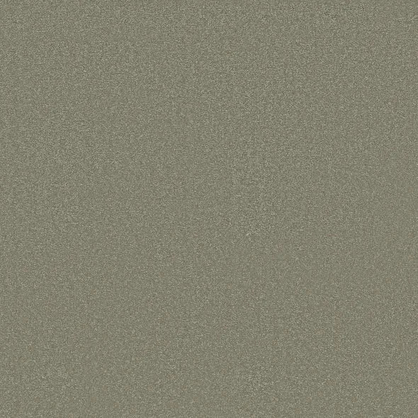 Shaw Floors - Carpet - Classics Collection - Awaken Spirit II - 12' - Silver Sage