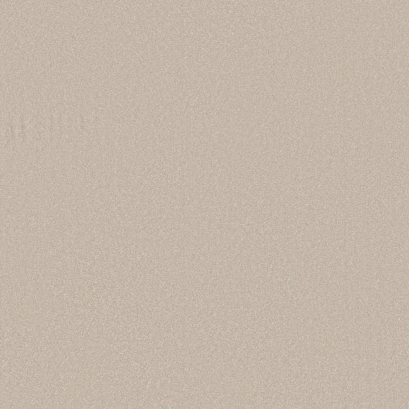 Shaw Floors - Carpet - Classics Collection - Awaken Spirit II - 15' - Spun Wool