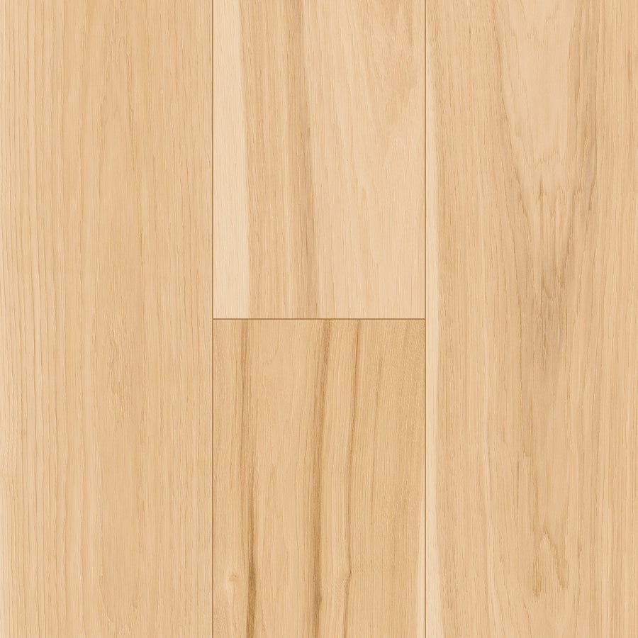 InHaus - Ceramin® - Icon Collection - Saltspring