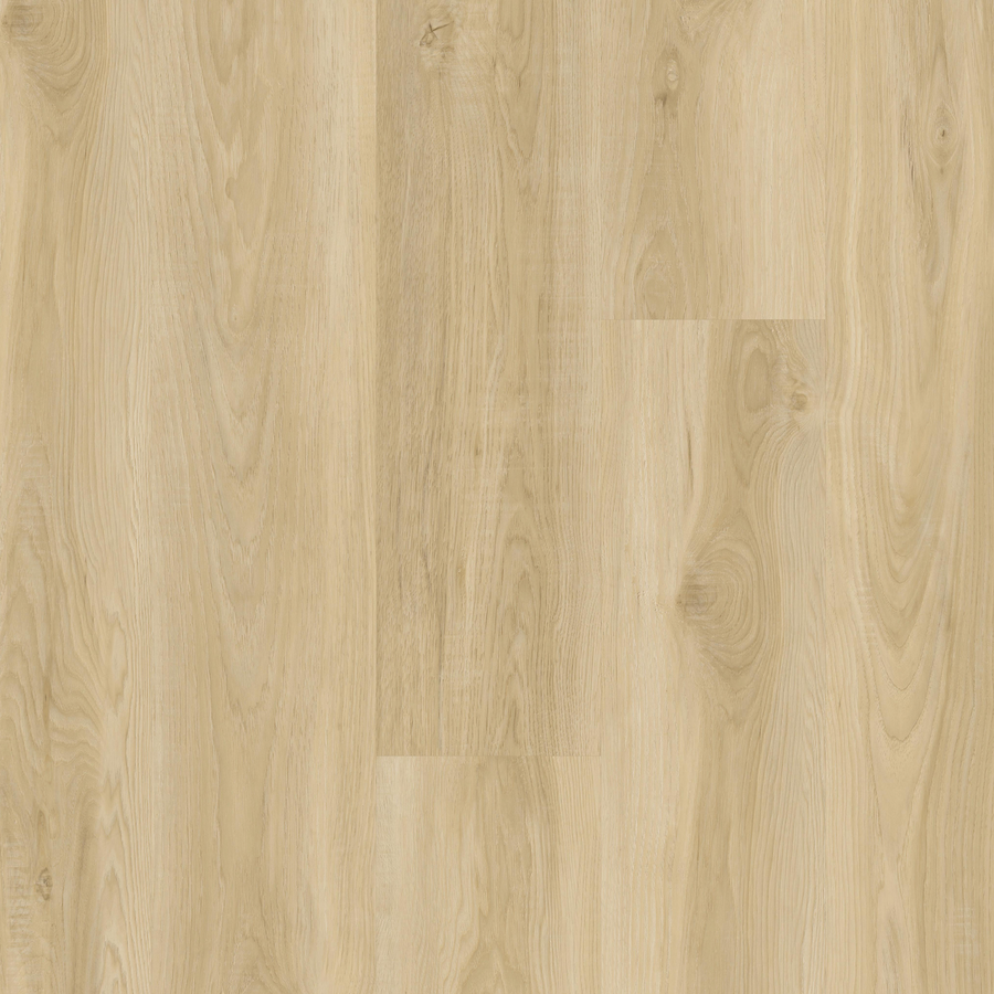 TwelveOaks - Endure Collection - Sand Dollar