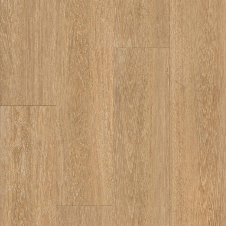 MSI - PLACERO TIMBER - Tile - 10" x 60"