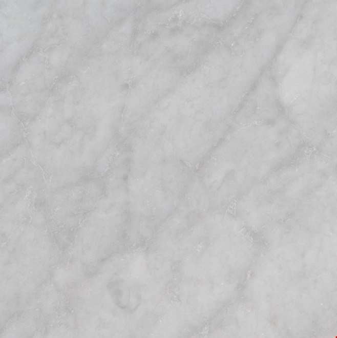 MSI - CARRARA WHITE (C) HONED - Tile - 18" x 18"