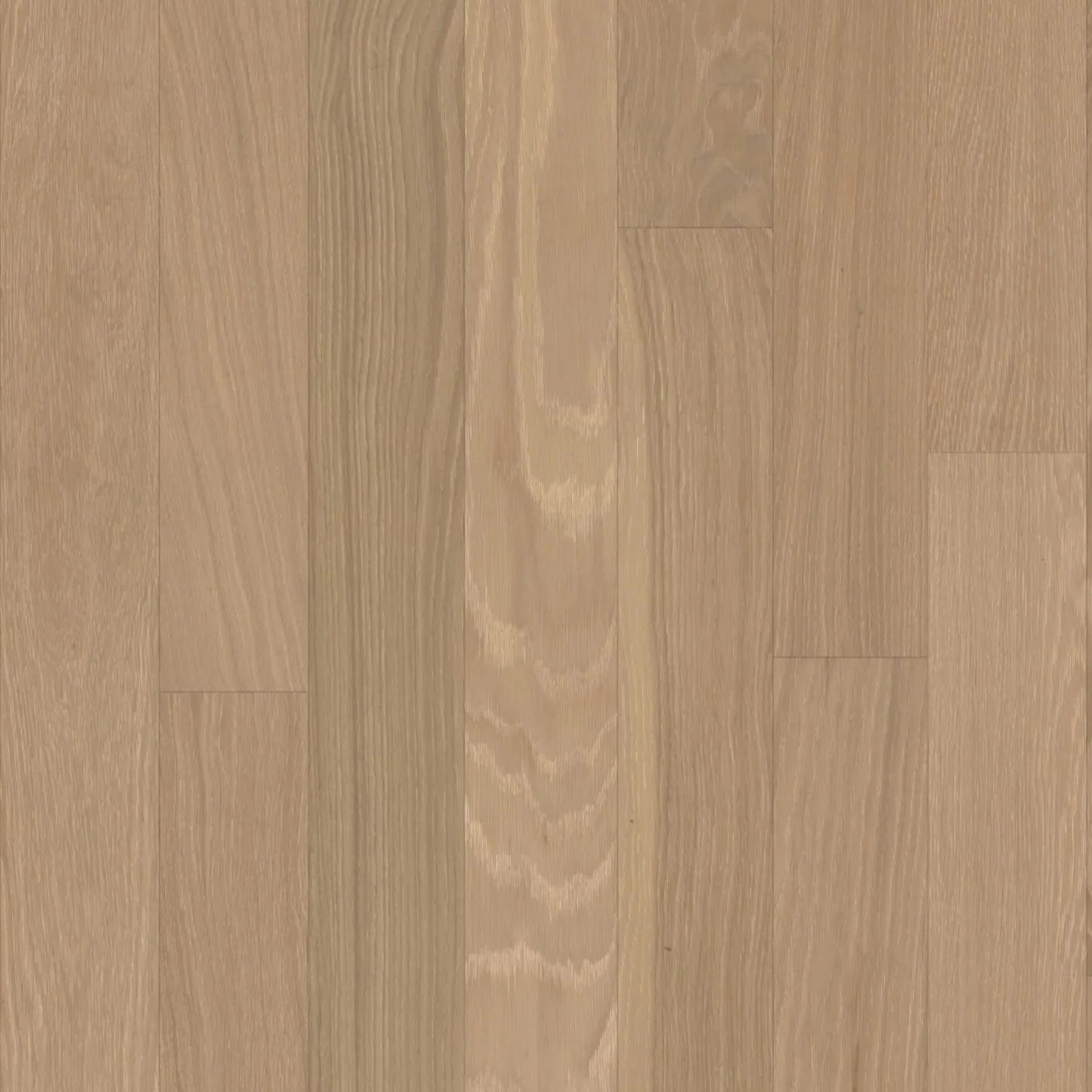 GoodFellow Ocean Falls Collection Shannon