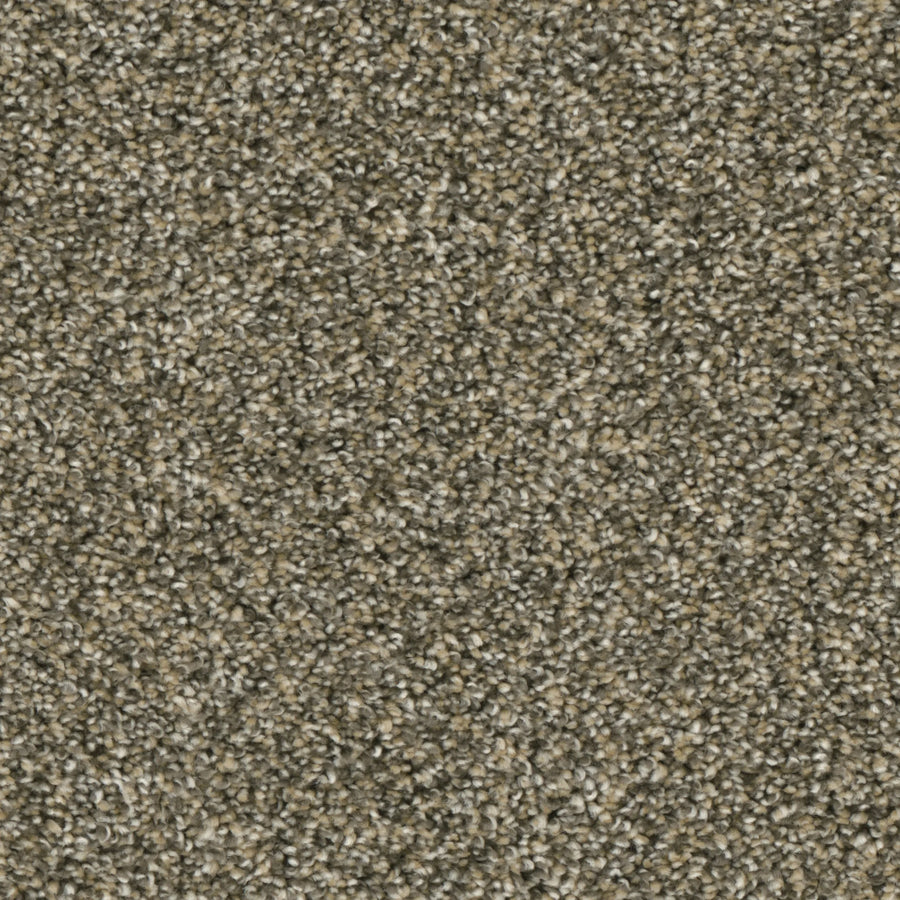 Primco - Estates Carpet - Majesty Collection - Simplicity
