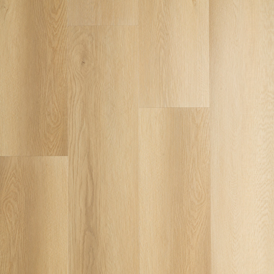 Grandeur Flooring - Bliss Collection - Starlight