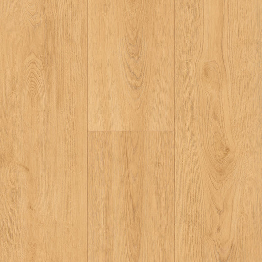 InHaus - Ceramin® - Icon Collection - Sterling