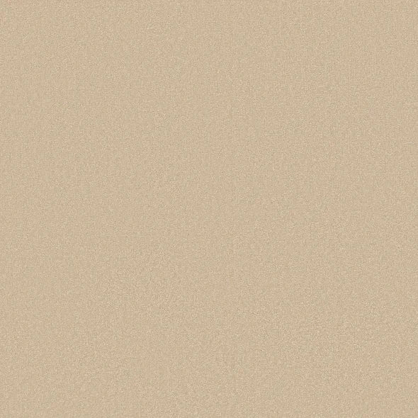 Shaw Floors - Carpet - Classics Collection - Awaken Spirit I 12' - Sunlight