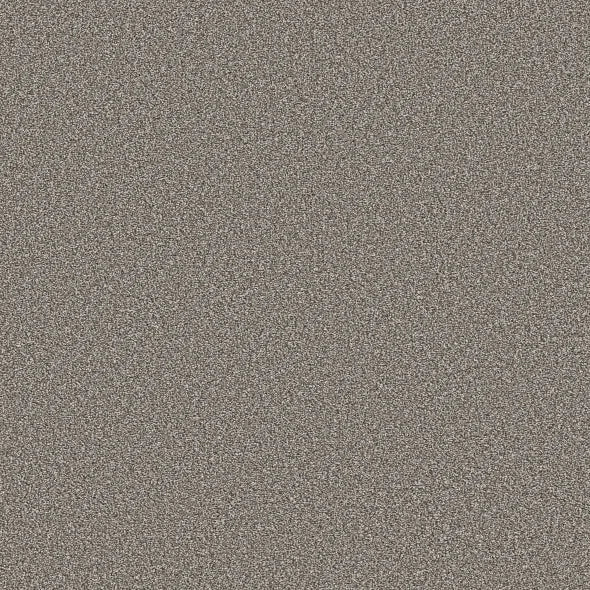 Shaw Floors - Carpet - Simply The Best - TRUSOLUTIONS III - Tree Bark