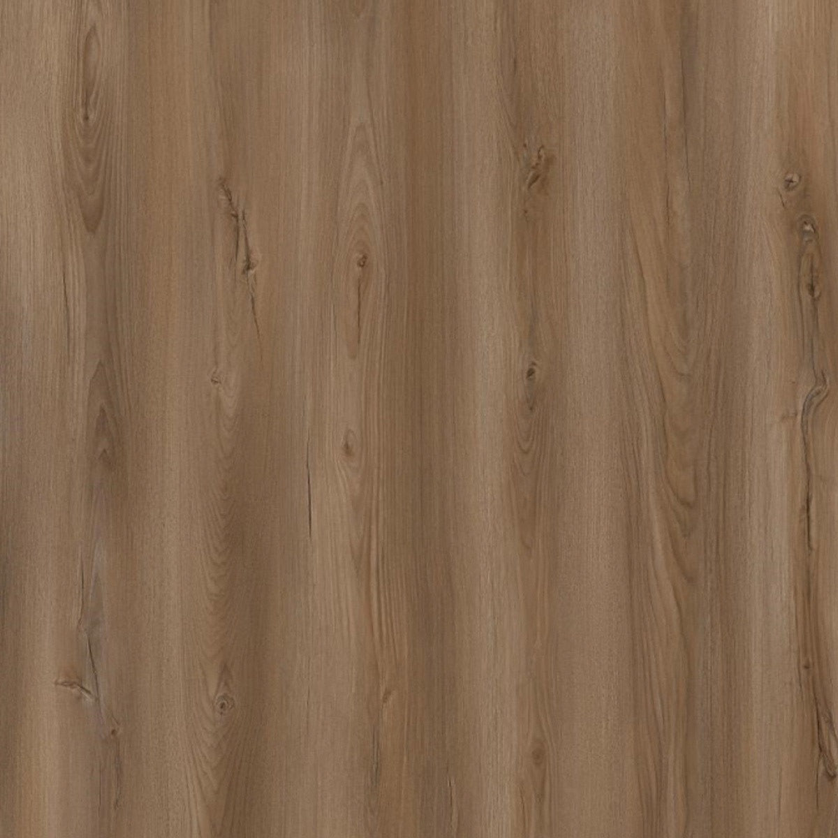 Toucan - TF 6606-F - Cedar Crest – Word of Mouth Floors