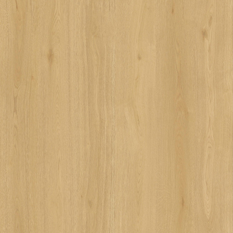 Toucan - TF 6612-F - Melrose